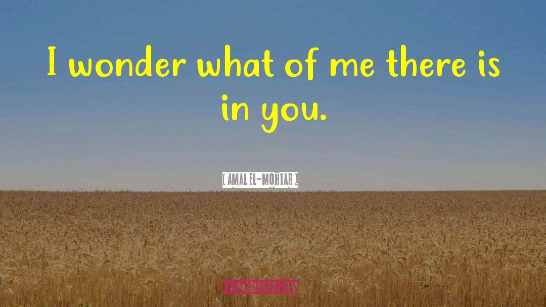 Amal El-Mohtar Quotes: I wonder what of me