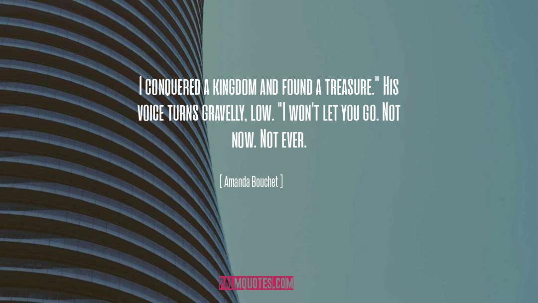 Amanda Bouchet Quotes: I conquered a kingdom and