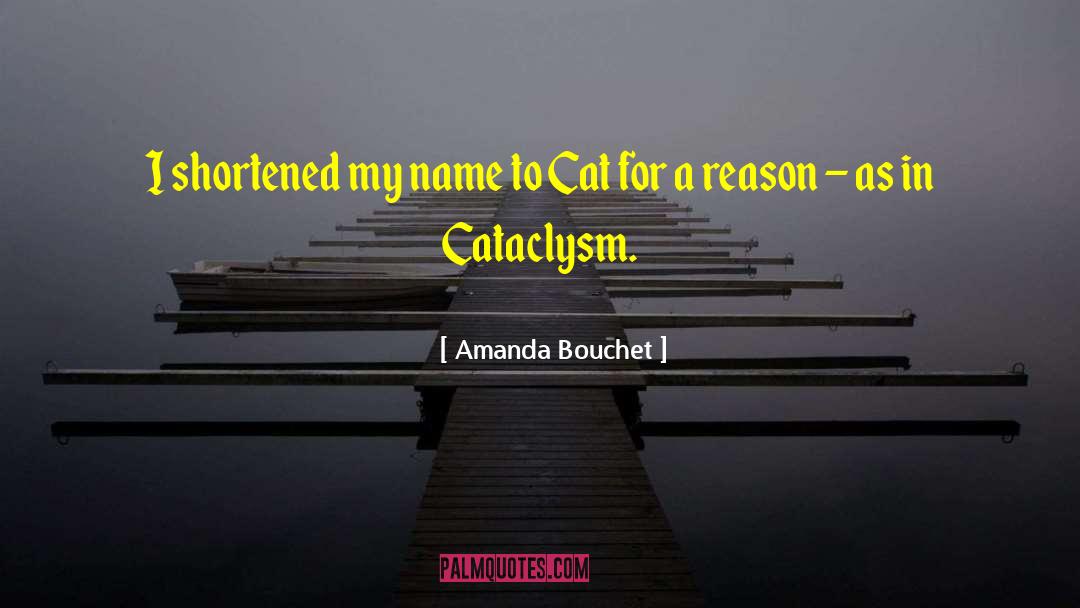 Amanda Bouchet Quotes: I shortened my name to