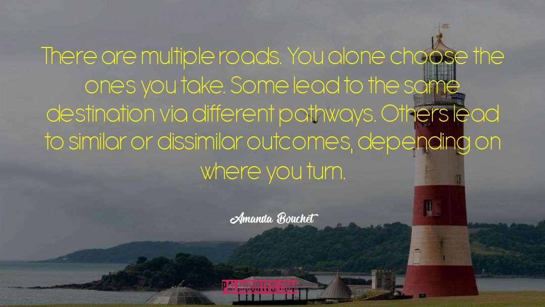 Amanda Bouchet Quotes: There are multiple roads. You