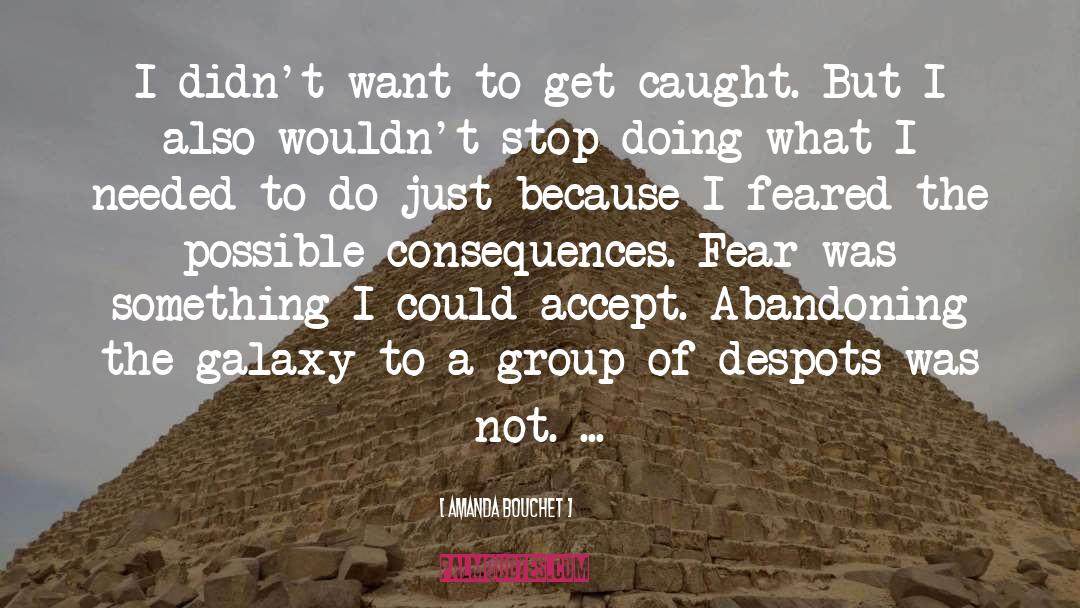 Amanda Bouchet Quotes: I didn't want to get