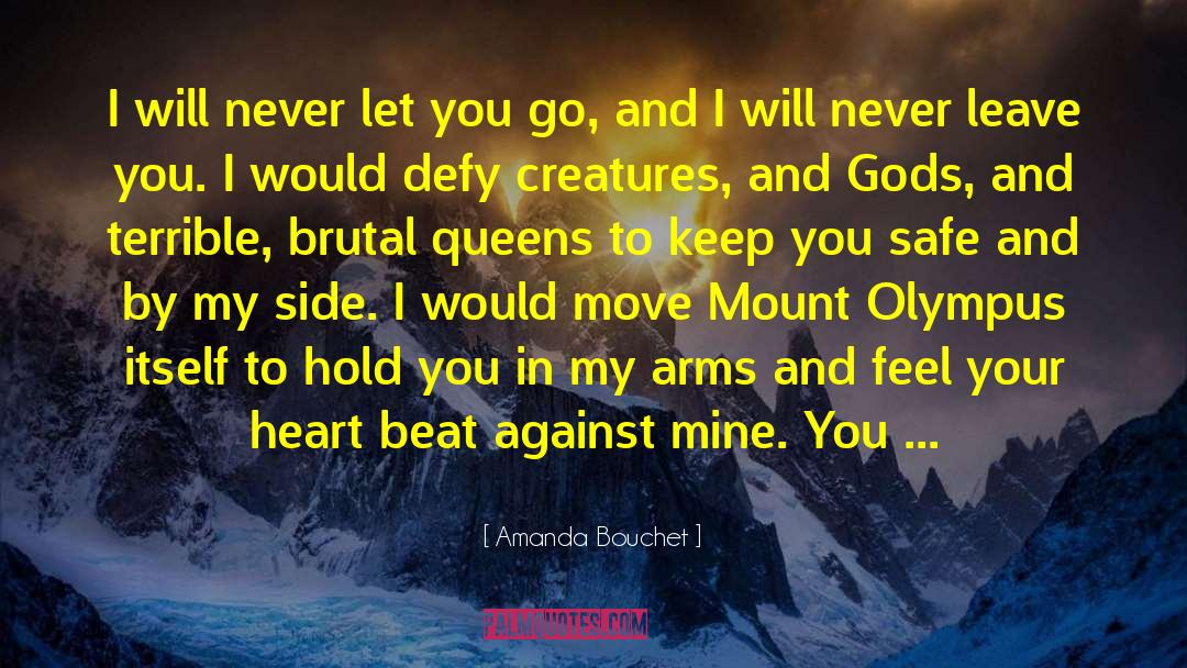 Amanda Bouchet Quotes: I will never let you