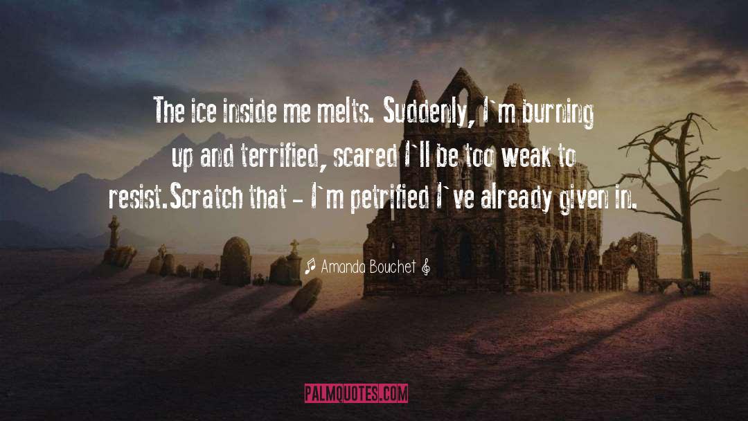 Amanda Bouchet Quotes: The ice inside me melts.