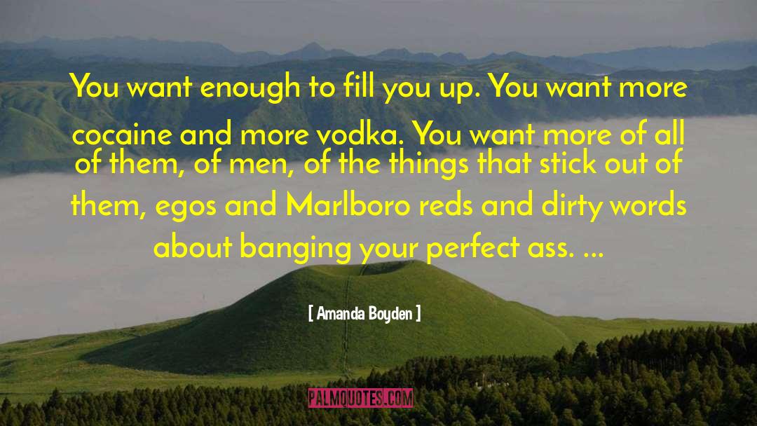 Amanda Boyden Quotes: You want enough to fill