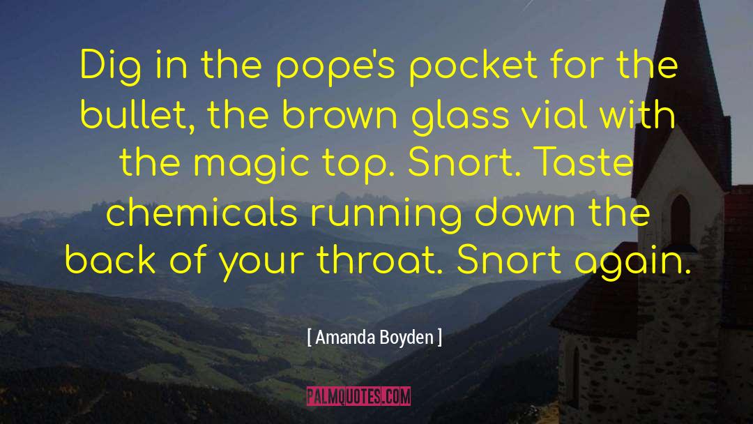 Amanda Boyden Quotes: Dig in the pope's pocket