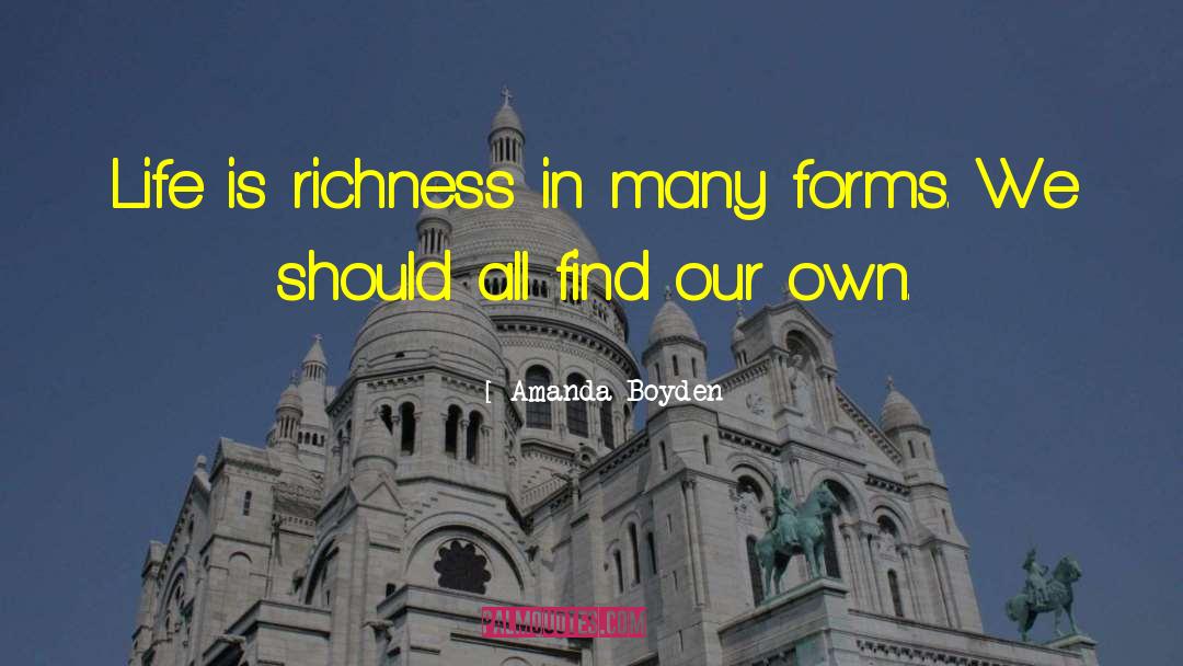 Amanda Boyden Quotes: Life is richness in many