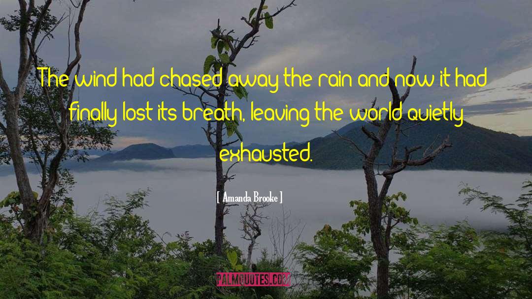 Amanda Brooke Quotes: The wind had chased away