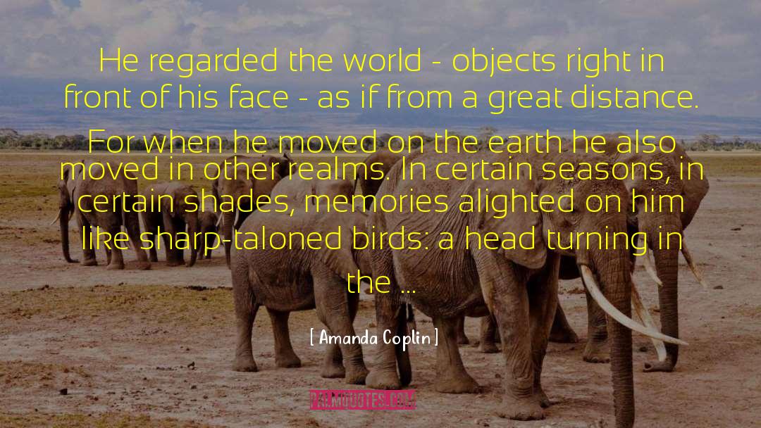 Amanda Coplin Quotes: He regarded the world -