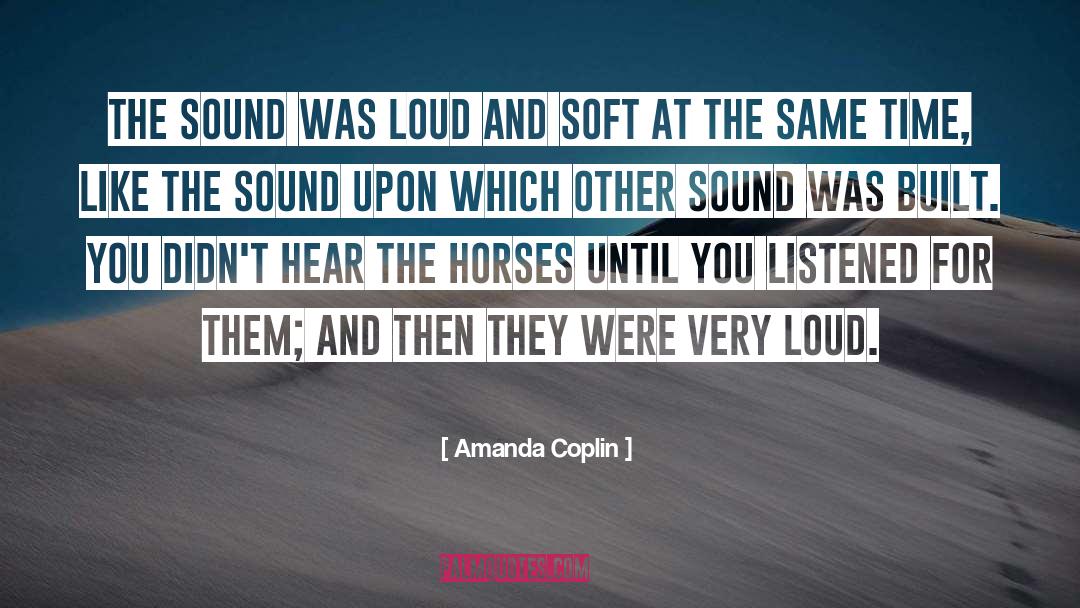 Amanda Coplin Quotes: The sound was loud and