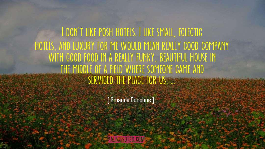 Amanda Donohoe Quotes: I don't like posh hotels.