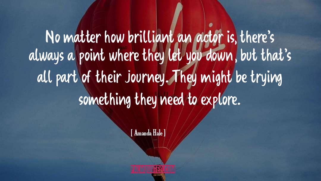 Amanda Hale Quotes: No matter how brilliant an