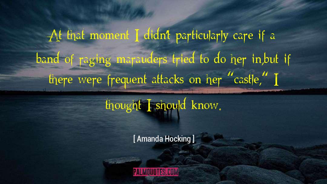 Amanda Hocking Quotes: At that moment I didn't