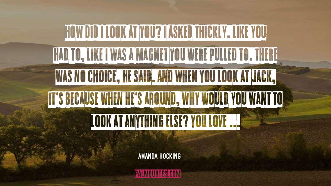 Amanda Hocking Quotes: How did I look at