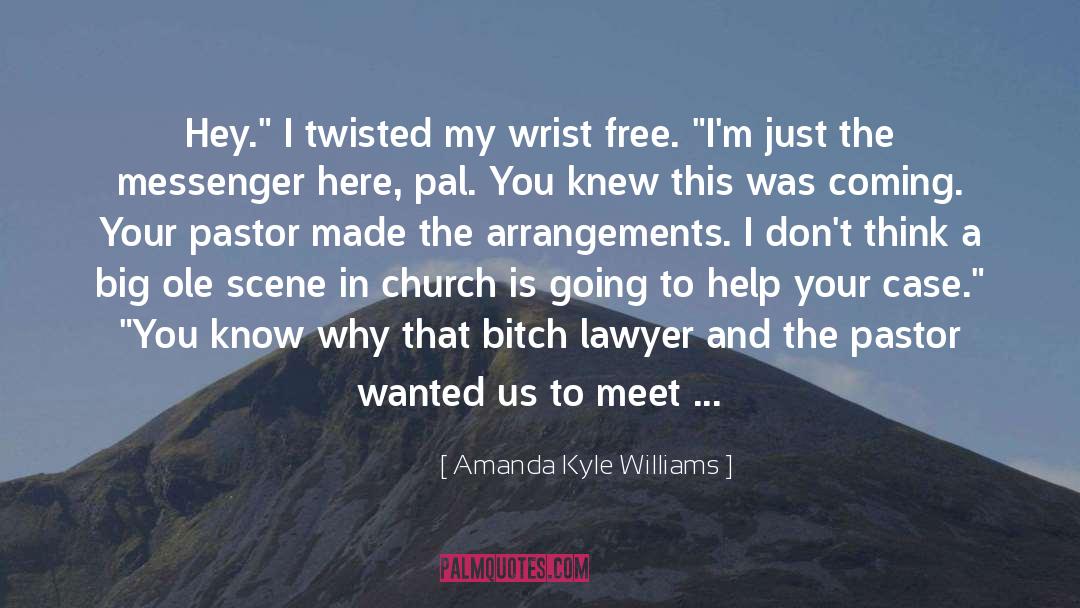 Amanda Kyle Williams Quotes: Hey.