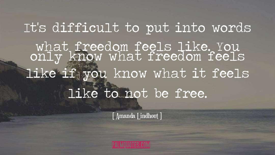 Amanda Lindhout Quotes: It's difficult to put into