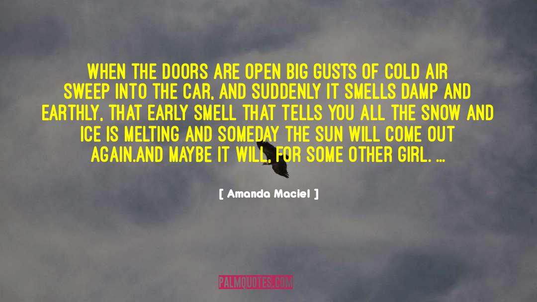 Amanda Maciel Quotes: When the doors are open