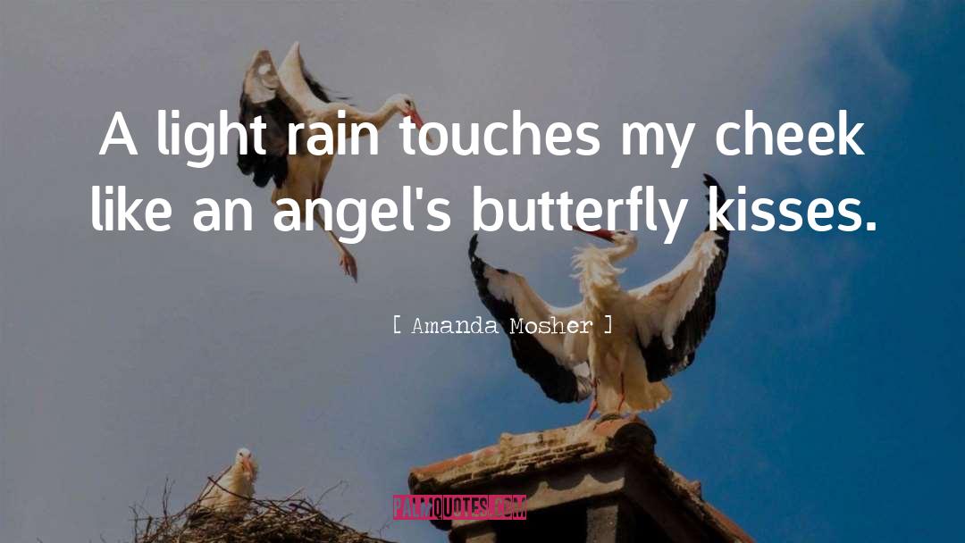 Amanda Mosher Quotes: A light rain touches my