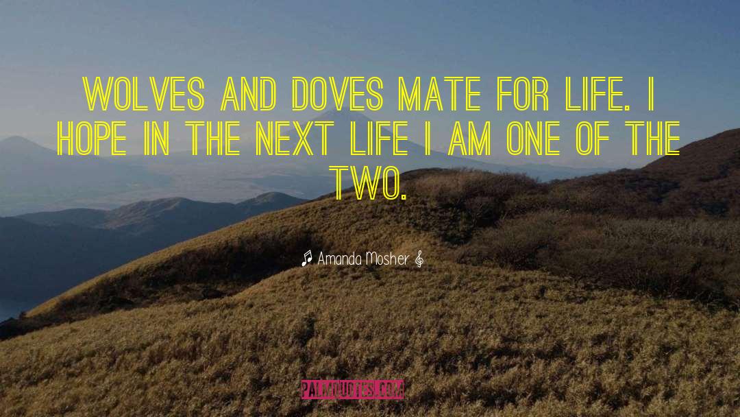 Amanda Mosher Quotes: Wolves and Doves mate for