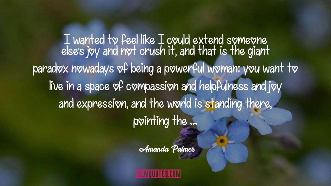 Amanda Palmer Quotes: I wanted to feel like