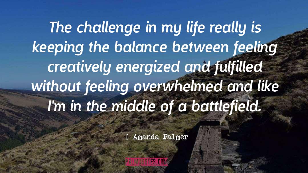 Amanda Palmer Quotes: The challenge in my life