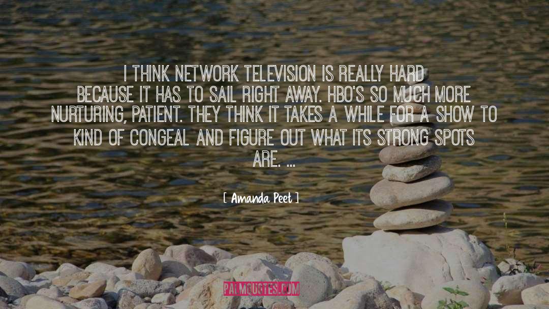 Amanda Peet Quotes: I think network television is