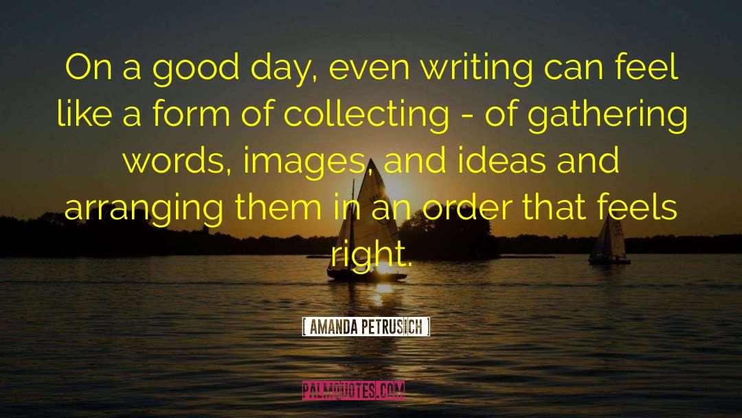 Amanda Petrusich Quotes: On a good day, even