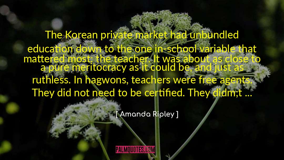 Amanda Ripley Quotes: The Korean private market had