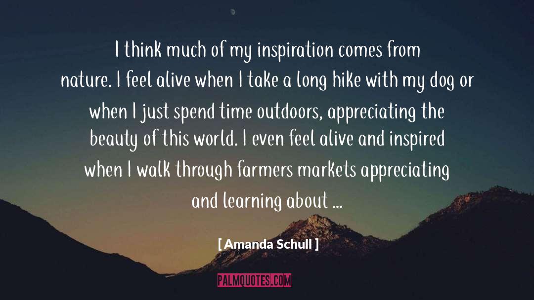 Amanda Schull Quotes: I think much of my