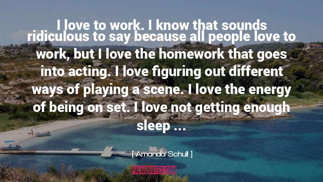Amanda Schull Quotes: I love to work. I