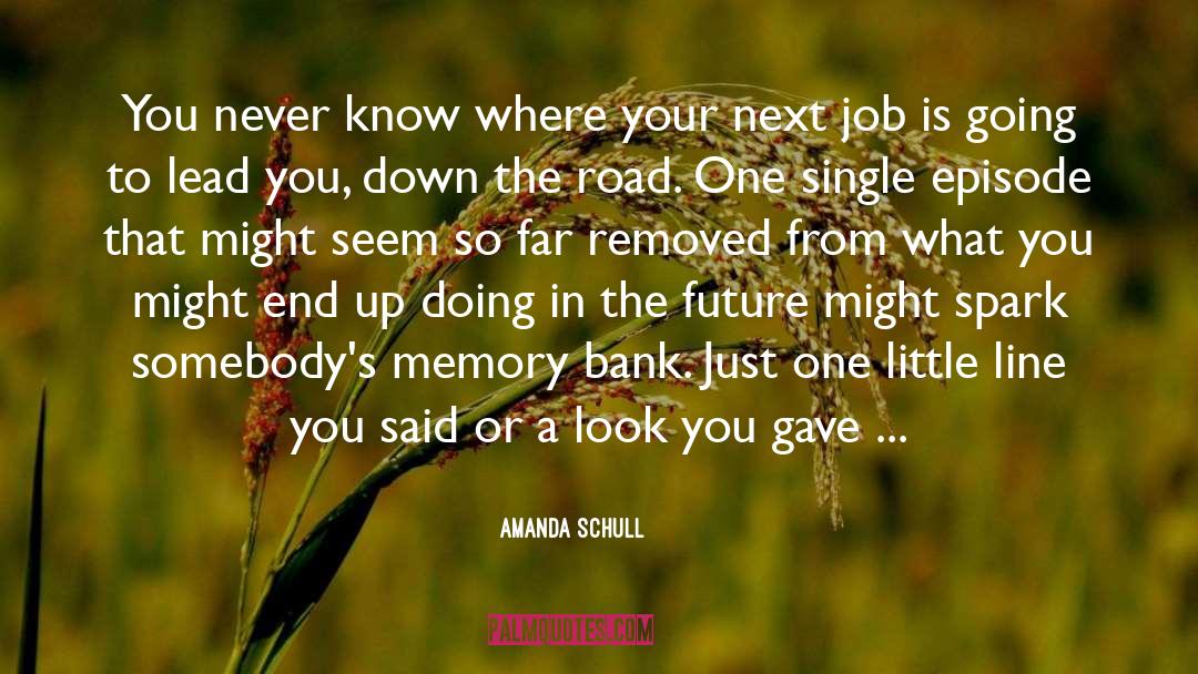 Amanda Schull Quotes: You never know where your