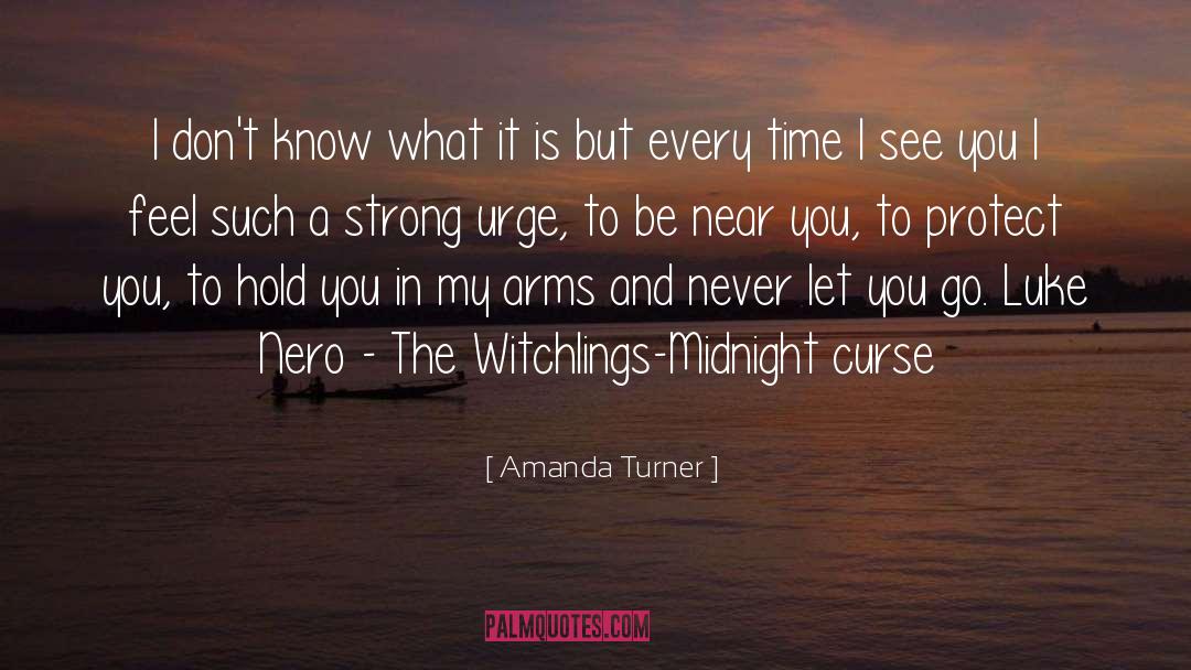 Amanda Turner Quotes: I don't know what it