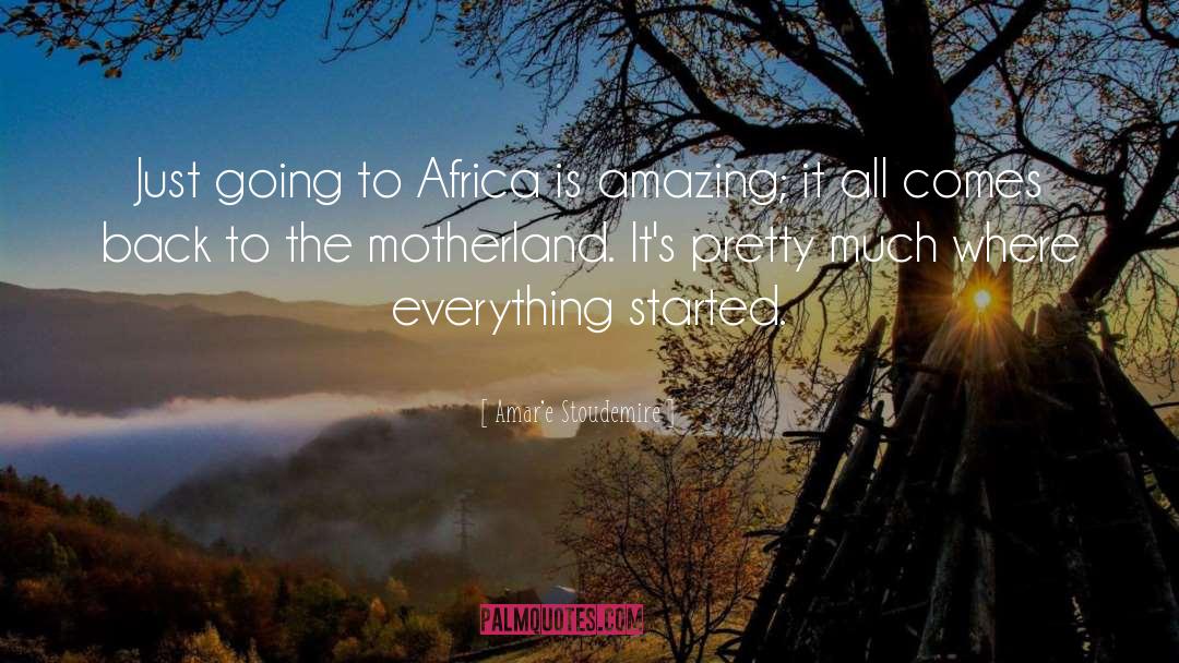 Amar'e Stoudemire Quotes: Just going to Africa is