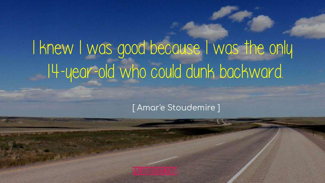 Amar'e Stoudemire Quotes: I knew I was good