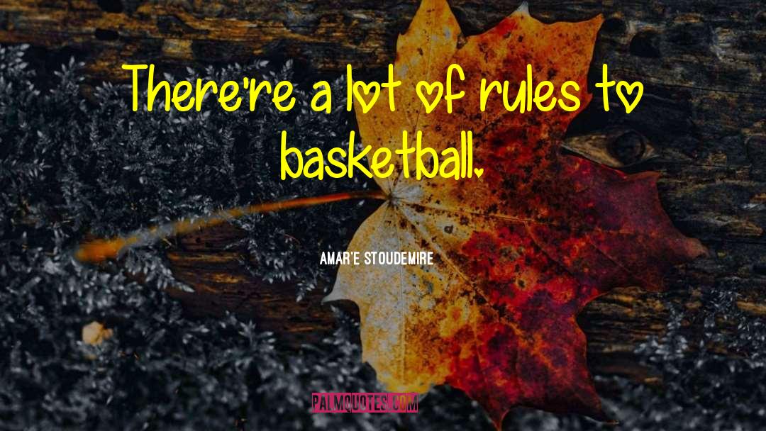 Amar'e Stoudemire Quotes: There're a lot of rules