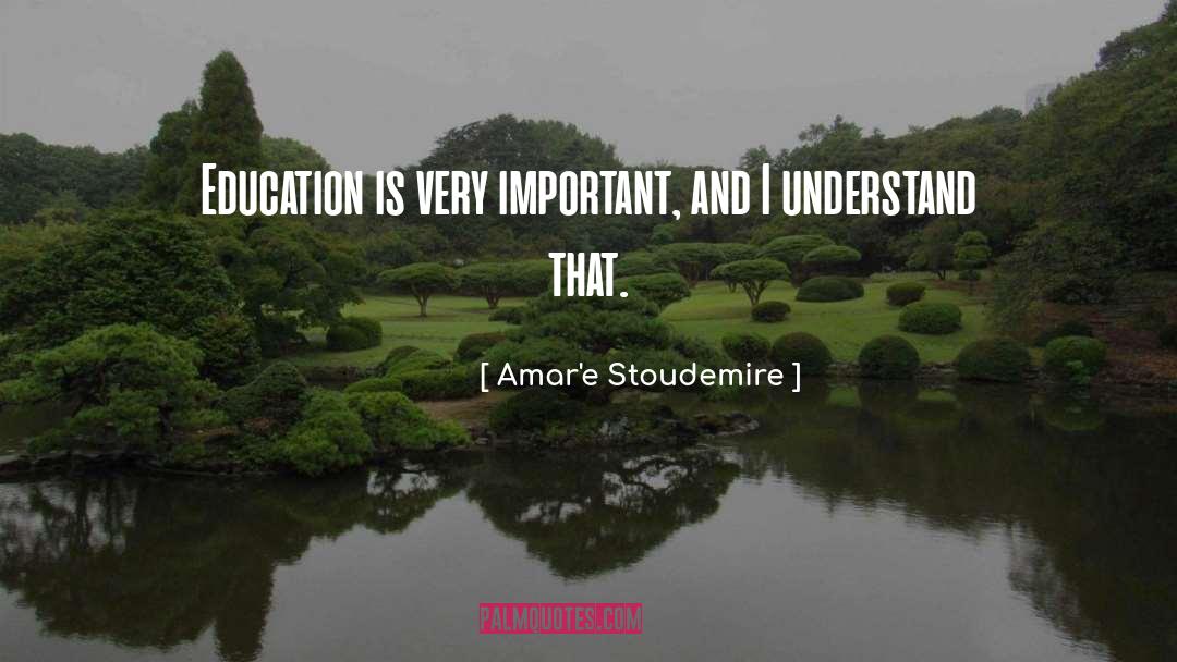 Amar'e Stoudemire Quotes: Education is very important, and