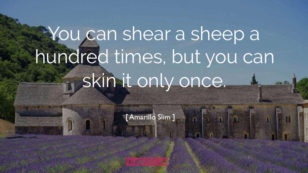 Amarillo Slim Quotes: You can shear a sheep