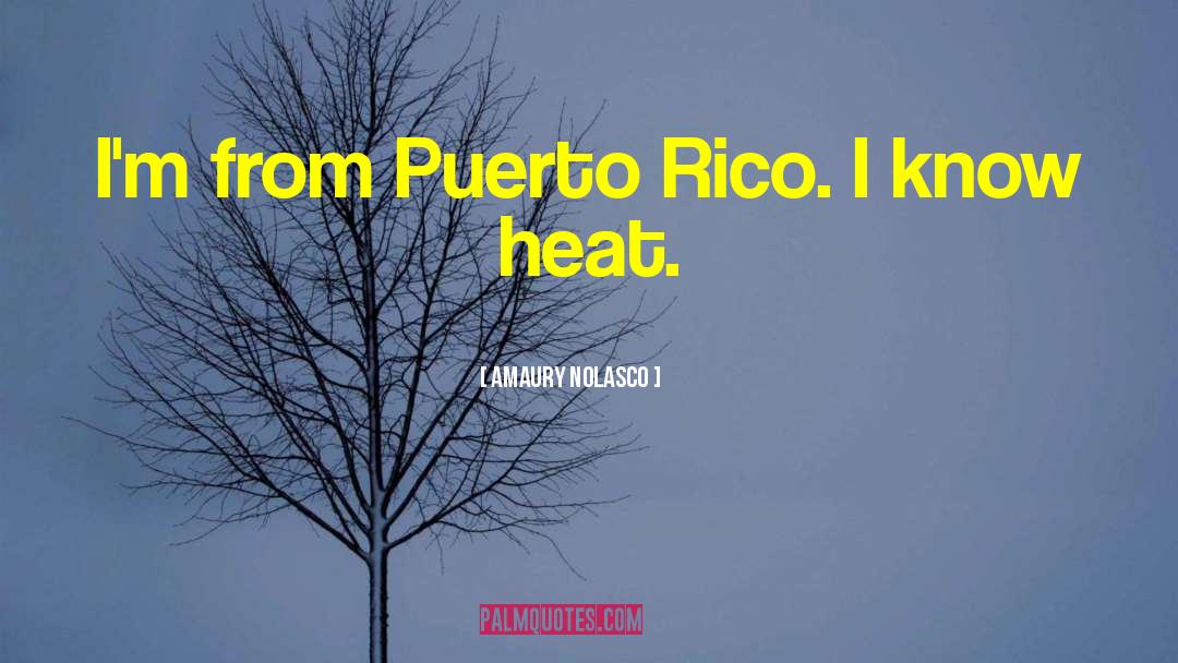 Amaury Nolasco Quotes: I'm from Puerto Rico. I