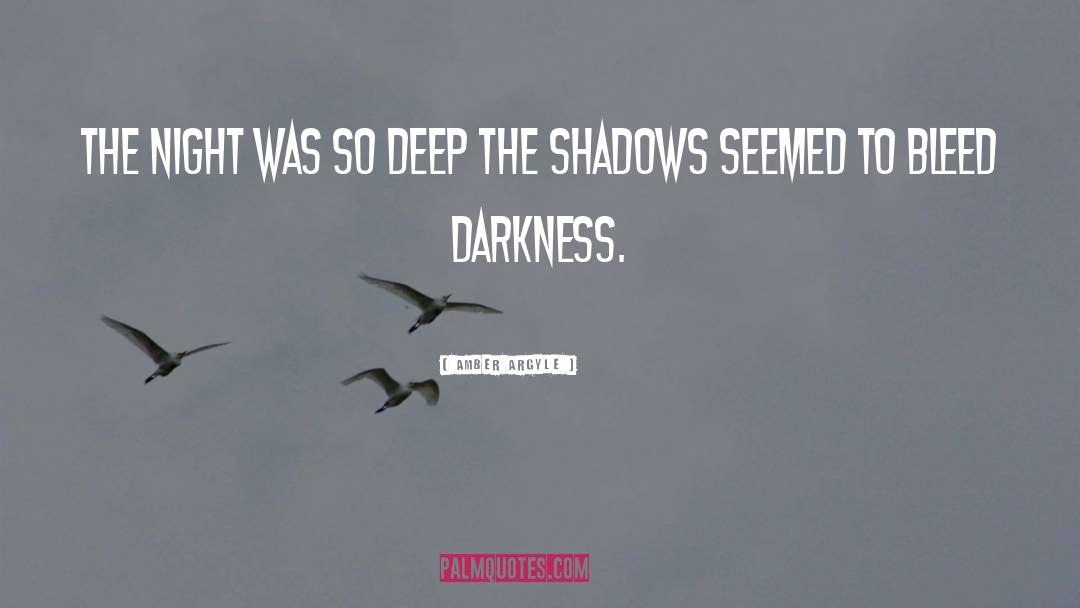 Amber Argyle Quotes: The night was so deep