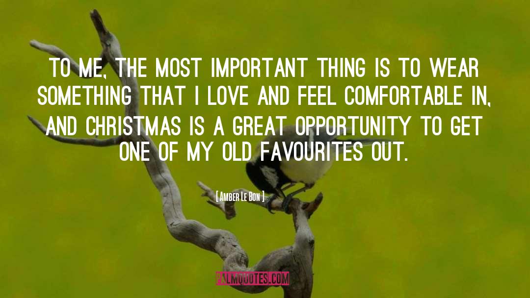 Amber Le Bon Quotes: To me, the most important