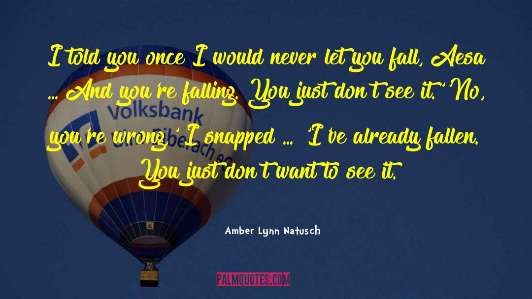 Amber Lynn Natusch Quotes: I told you once I