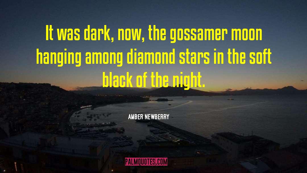 Amber Newberry Quotes: It was dark, now, the