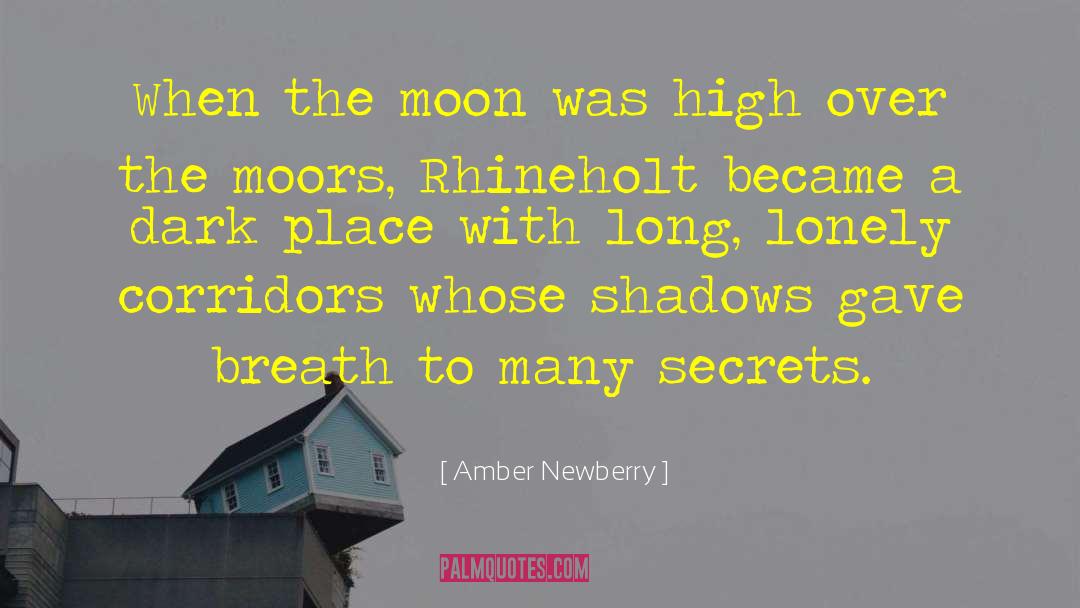 Amber Newberry Quotes: When the moon was high