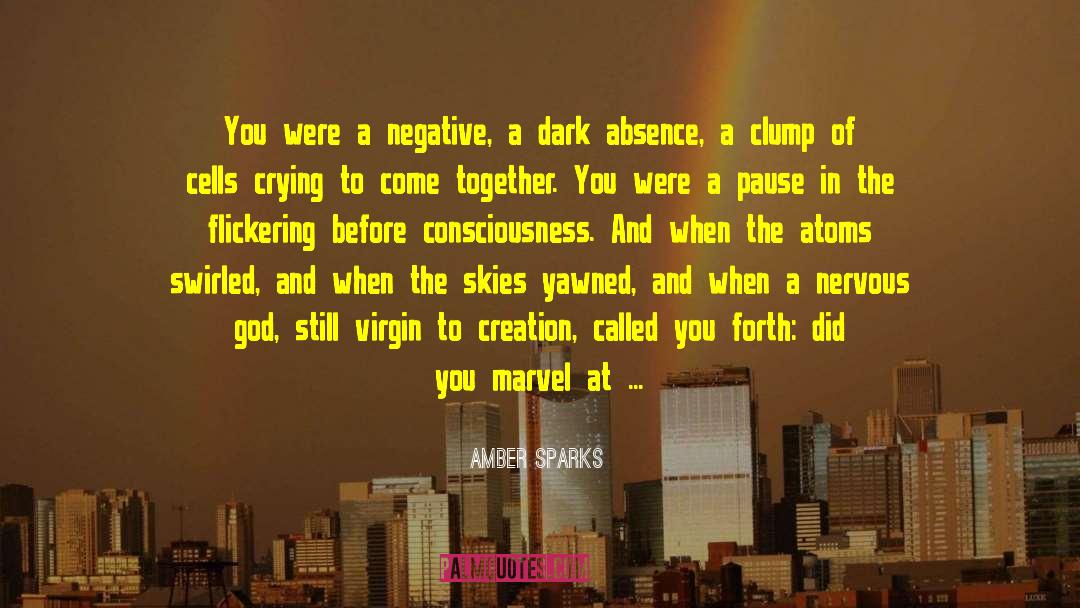 Amber Sparks Quotes: You were a negative, a