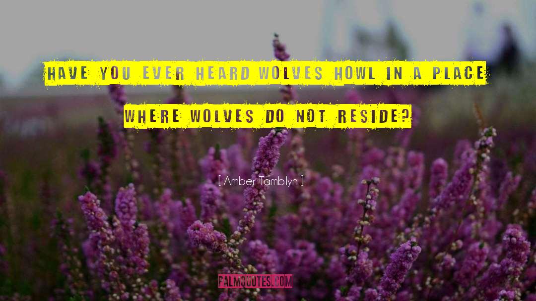 Amber Tamblyn Quotes: Have you ever heard wolves