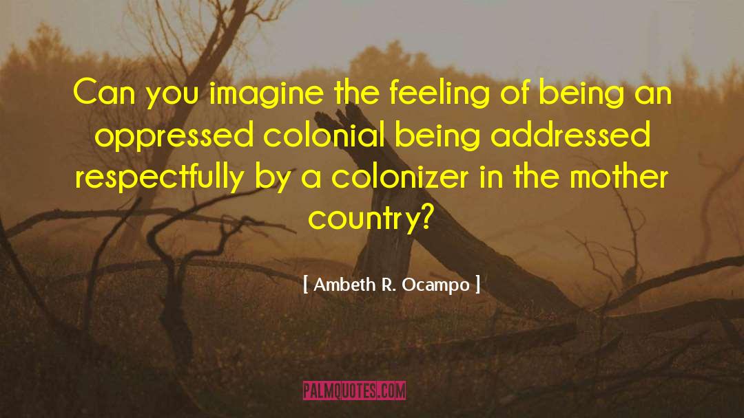 Ambeth R. Ocampo Quotes: Can you imagine the feeling