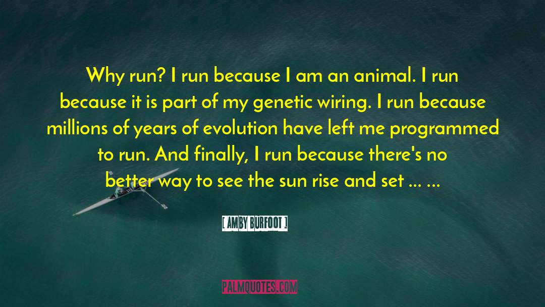 Amby Burfoot Quotes: Why run? I run because