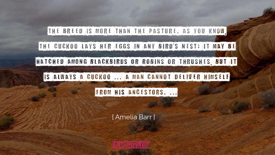 Amelia Barr Quotes: The breed is more than