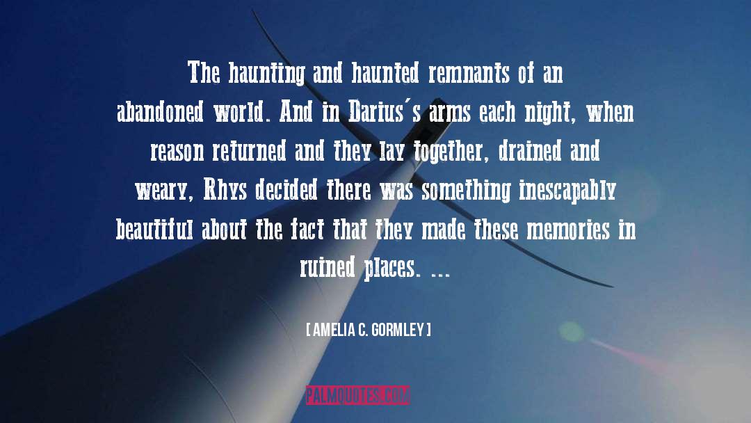 Amelia C. Gormley Quotes: The haunting and haunted remnants