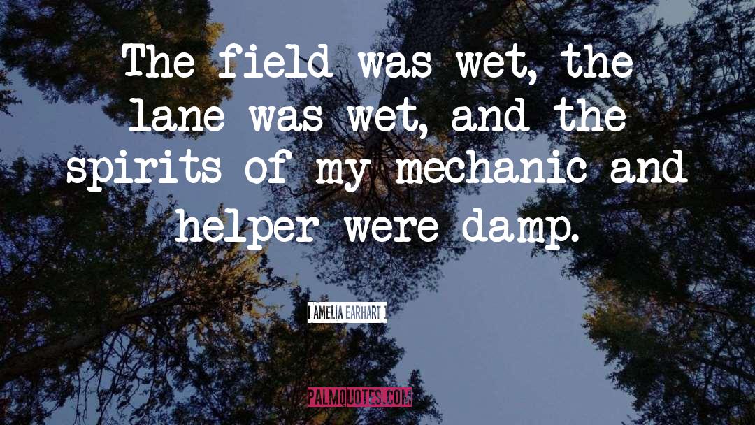 Amelia Earhart Quotes: The field was wet, the
