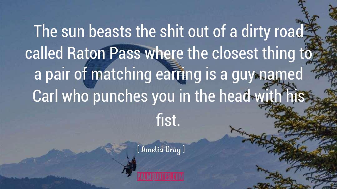 Amelia Gray Quotes: The sun beasts the shit